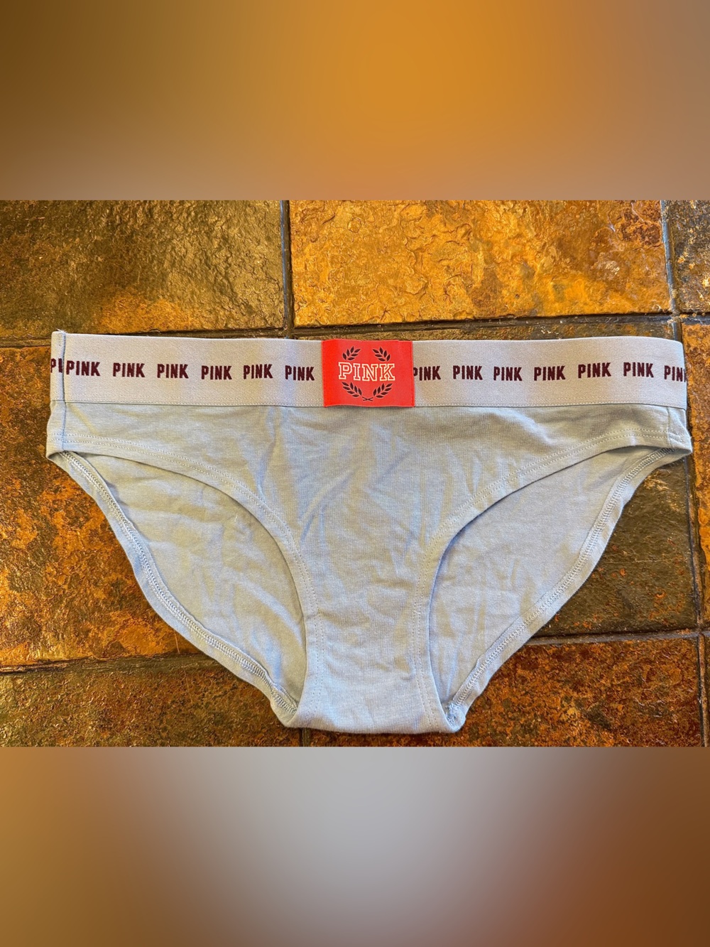 PINK Victoria's Secret Light Blue Briefs with Pink Branded Tag